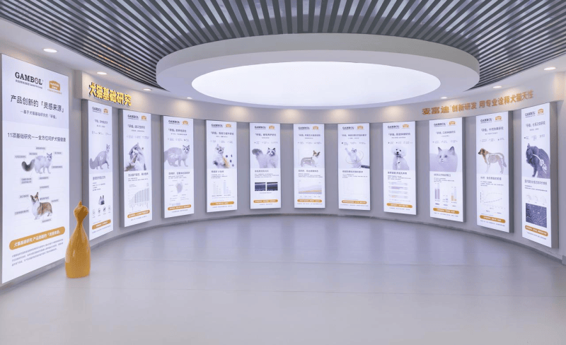 11项基础研究背景墙