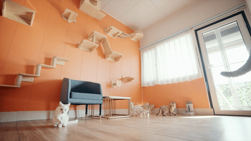 犬猫适口性试验中心